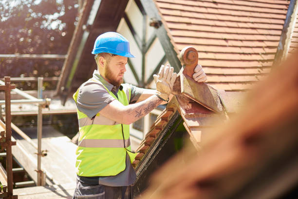 Roof Gutter Cleaning in Mount Dora, FL